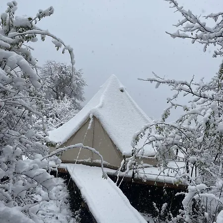 Rosehip Camp